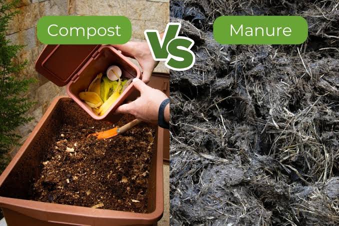 Composted Manure vs. other organic inputs