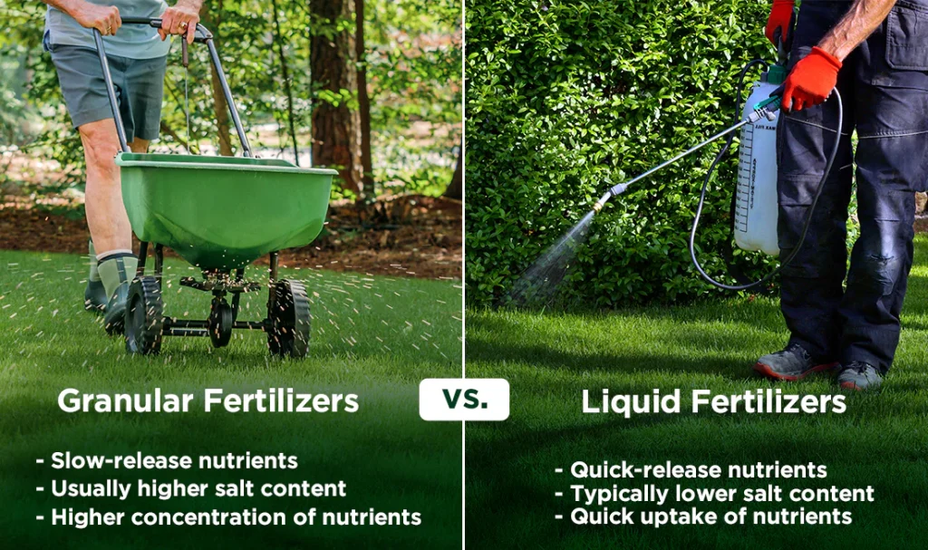 Feeding frequency by fertilizer type (liquid vs. slow-release) Feeding frequency by fertilizer type (liquid vs. slow-release)