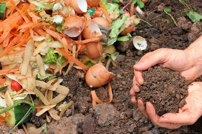 Why Make Your Own Tomato Fertilizer Why Make Your Own Tomato Fertilizer