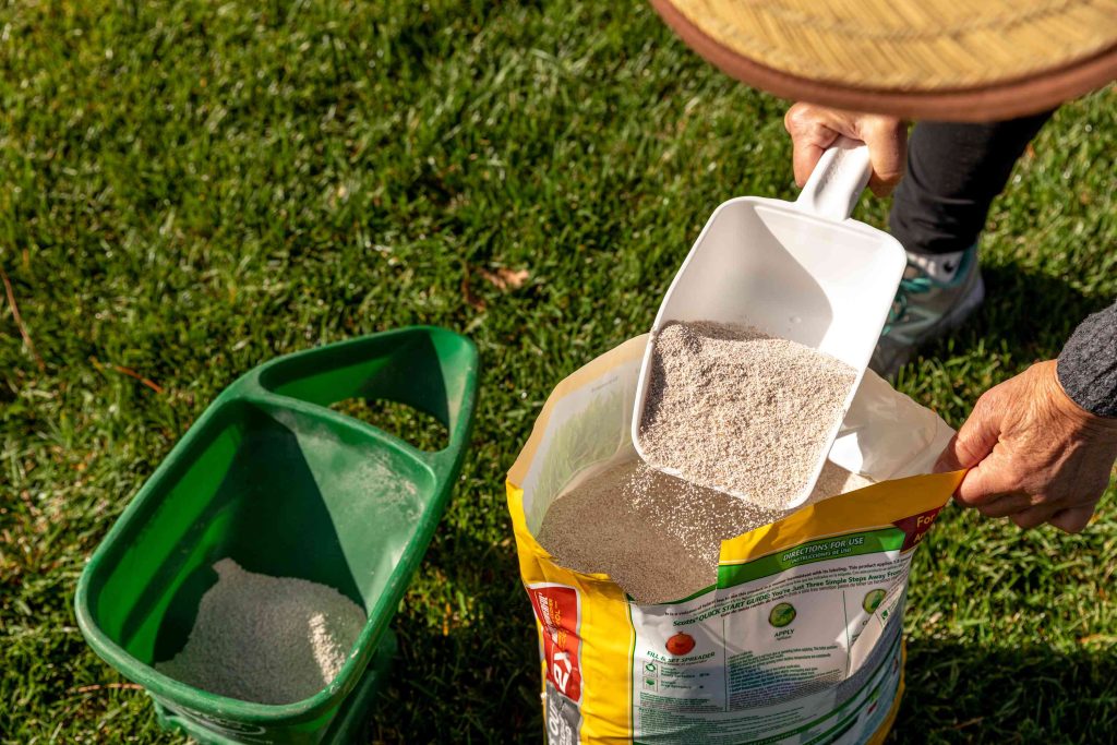 When Should You Fertilize?