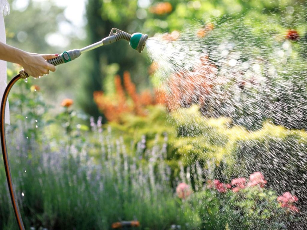 Best Hose Nozzle for Watering Best Hose Nozzle for Watering