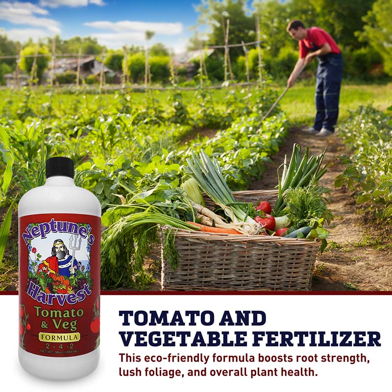 Neptune's Harvest Tomato & Veg Fertilizer: In-Depth Review Neptune's Harvest Tomato & Veg Fertilizer: In-Depth Review